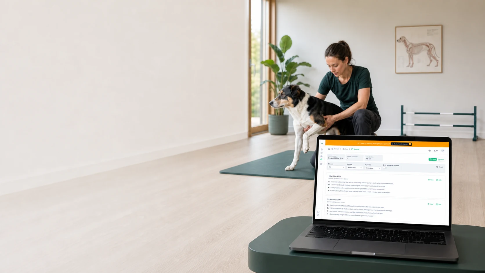 PawNote-Tierdokumentation auf einem Laptop, während eine Hundetherapeutin einen Hund auf einer Behandlungsmatte untersucht